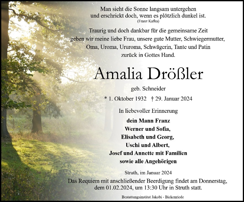 Profilbild von Amalia Drößler