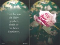 eine Anzeige