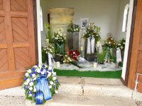 das zu meldende Bild